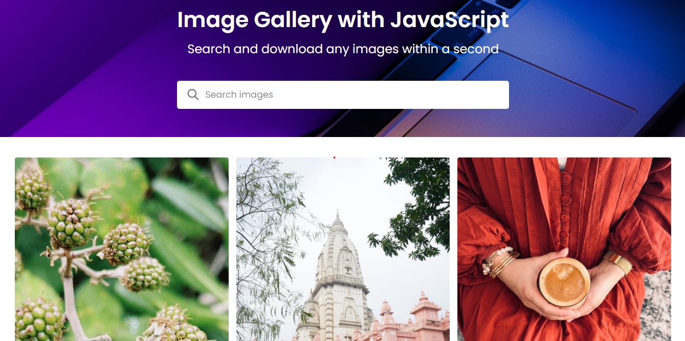 Image Gallery Web Application - Modern search engine with advanced filtering and responsive design